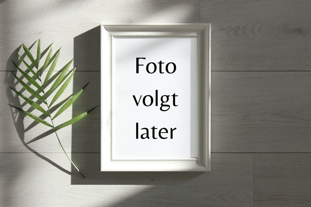 het team praktijk relou